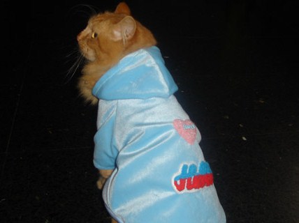 ropa.jpg