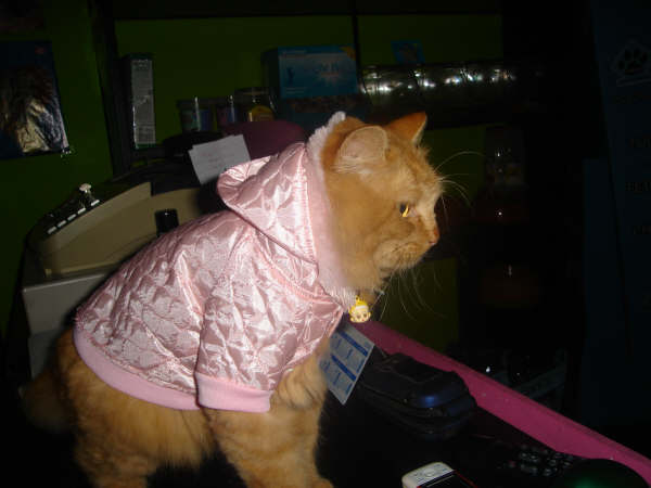 ropa5.jpg